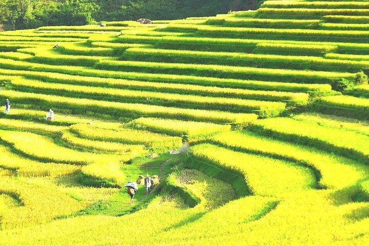 Réserve naturelle de Pu Luong - Visite d'aventure privée 2 jours 1 nuit