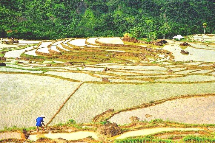 Réserve naturelle de Pu Luong - Visite d'aventure privée 2 jours 1 nuit