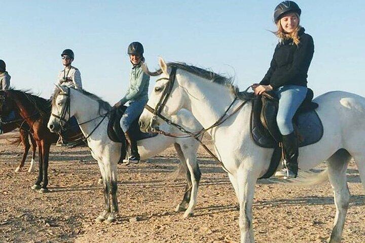 Actividad de equitación guiada de 1 hora en Sharm El Sheikh