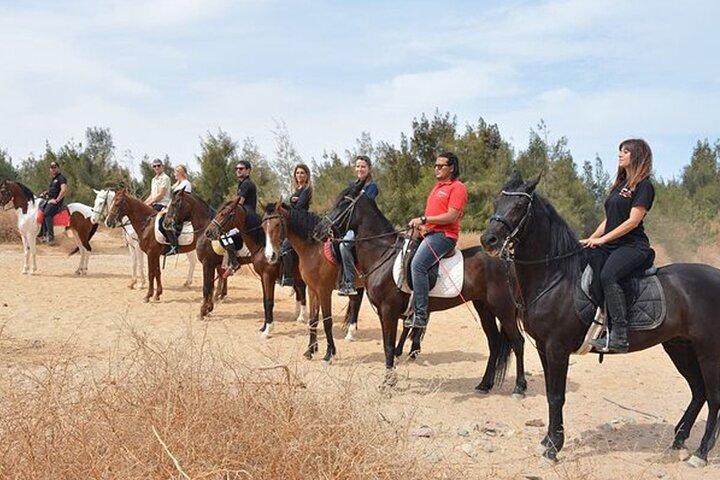 Actividad de equitación guiada de 1 hora en Sharm El Sheikh