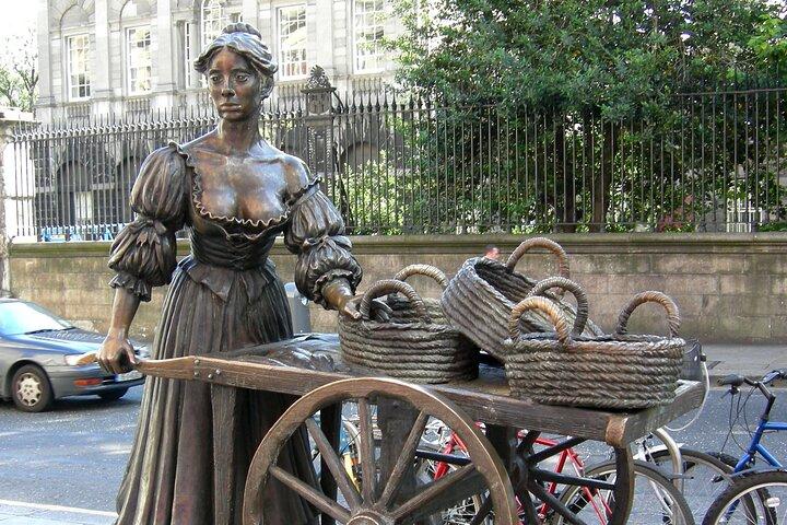 6-stündige private Tour durch Dublin