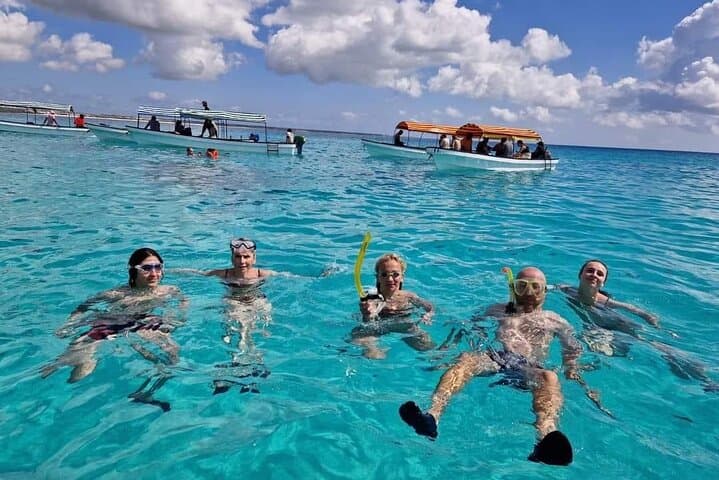 Dolphins Tour
