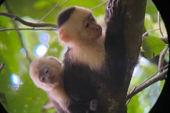 ハシエンダ バルとナウヤカの滝への 1 日ツアー
