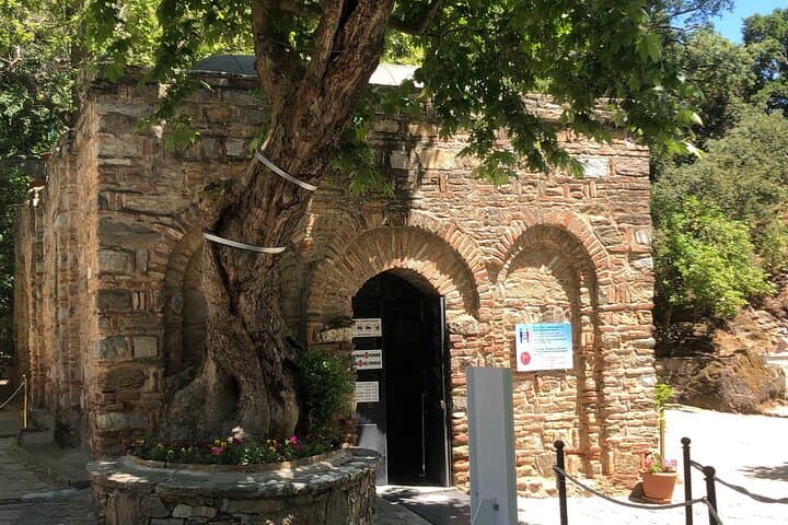 Highlights of Ephesus Tour from Izmir Port / Cruisers only