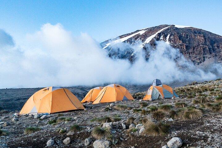 レモショルート経由キリマンジャロ登山8日間