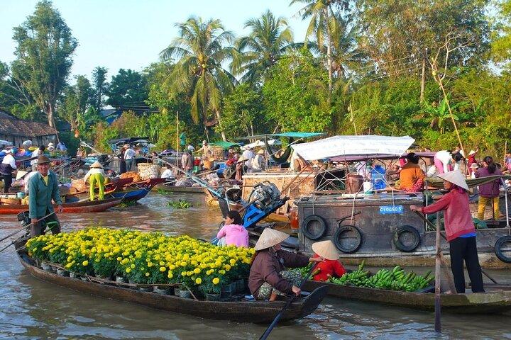 Tour di un'intera giornata al delta del Mekong Cai Be e all'isola di Tan Phong