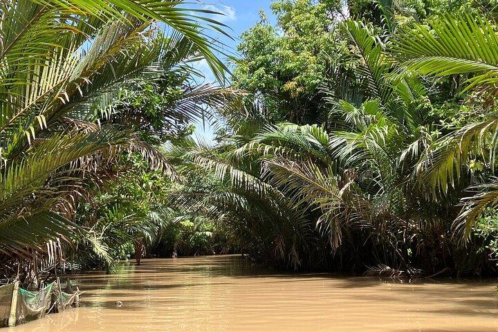 Tour di un'intera giornata del Delta del Mekong con giro in barca Sampan e pranzo
