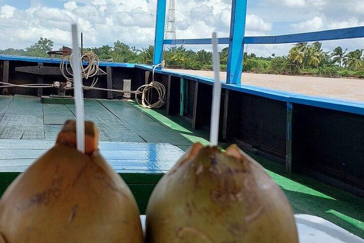 Entdecken Sie eine eintägige private Tour durch das Mekong-Delta