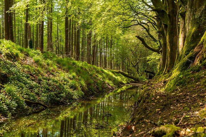 Dublin para County Wicklow e Glendalough Viagem Privada de Carro