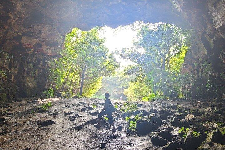 2-dagars privat taxitur i Jeju Island