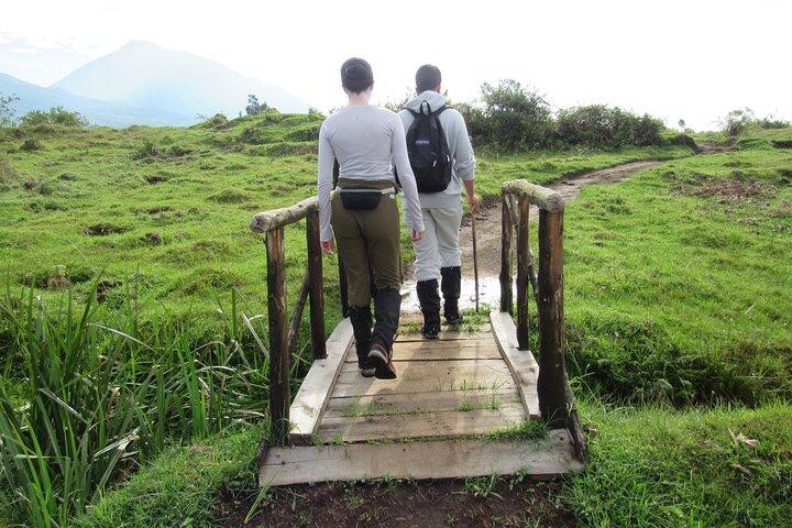 3 dages Golden Monkey Private Trekking i Rwanda