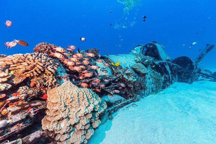 Advanced Deep Wreck Scuba Dive in Oahu – Certificação necessária