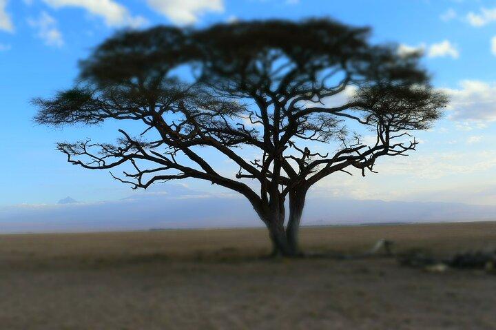 Visite guidée de 2 jours à Tsavo Est