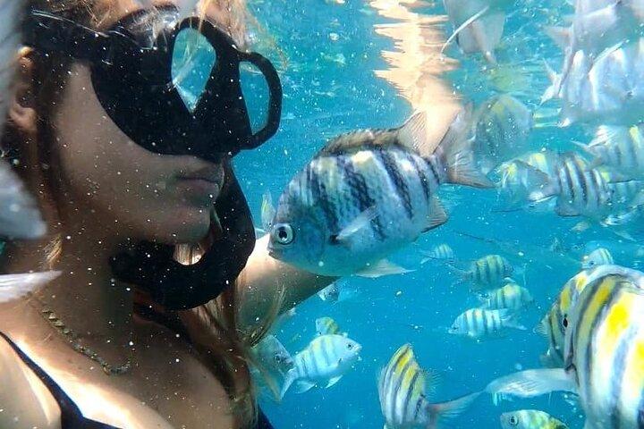 5-stündiger Luxus-Katamaran-Tagessegeltörn in Sint Maarten auf der Phoenix