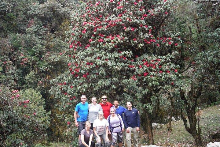 6 Days Annapurna Base Camp Private Trekking with Hot Spring