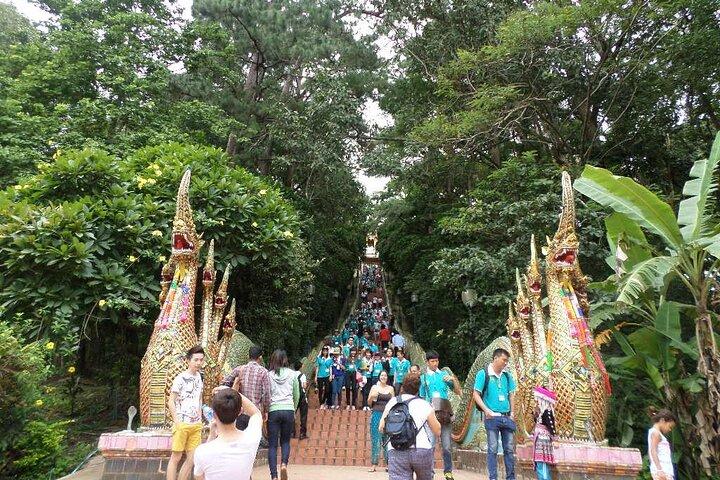 En dag Doi Suthep Temple, Palad Temple & Sticky vandfald