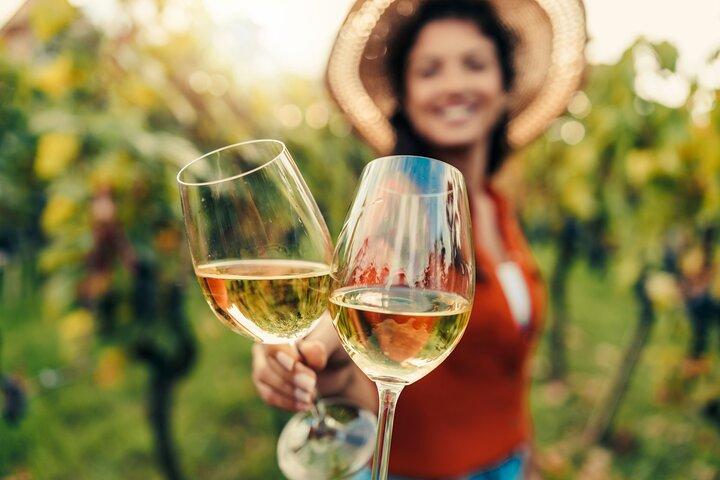 From San Francisco: Napa & Sonoma Valley Wine Tour with Tastings