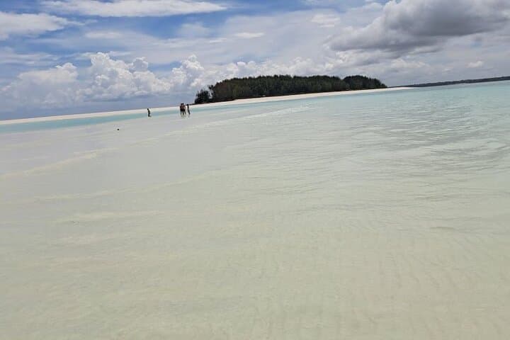 Mnemba Island Snorkeling and Swimming with Dolphin Full Day Trip