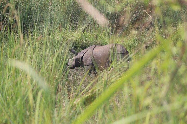 チトワン国立公園内ワンデーサファリ(シェア)