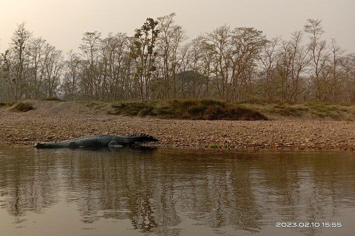 チトワン国立公園内ワンデーサファリ(シェア)