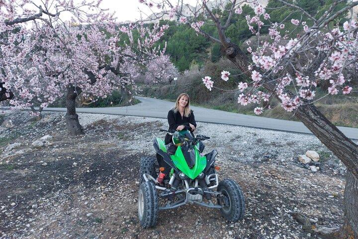 Excursion d'une heure en quad / VTT à travers la jungle d'Altea