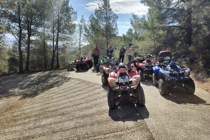 Excursion d'une heure en quad / VTT à travers la jungle d'Altea