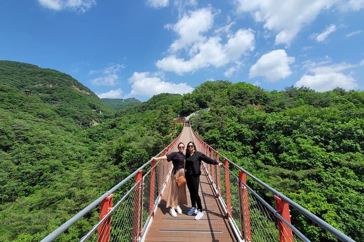 Small Group DMZ Tour with Hotel pickup : 3rd tunnel&Susp. Bridge
