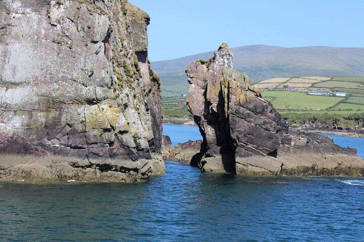 1 time Dingle Bay klippe tur