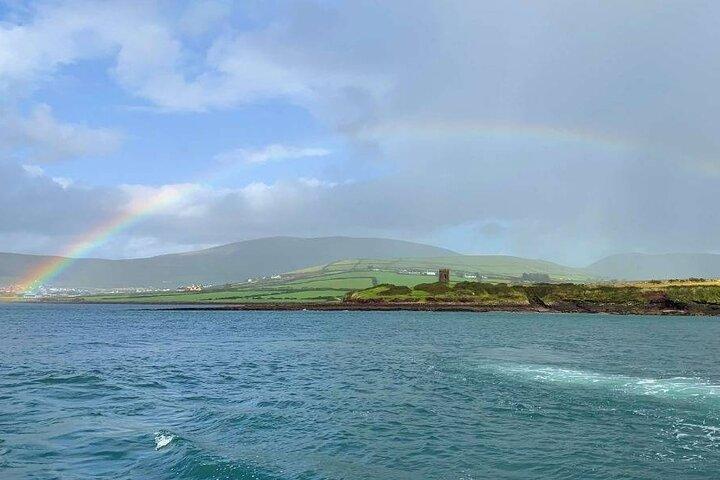 1 time Dingle Bay klippe tur