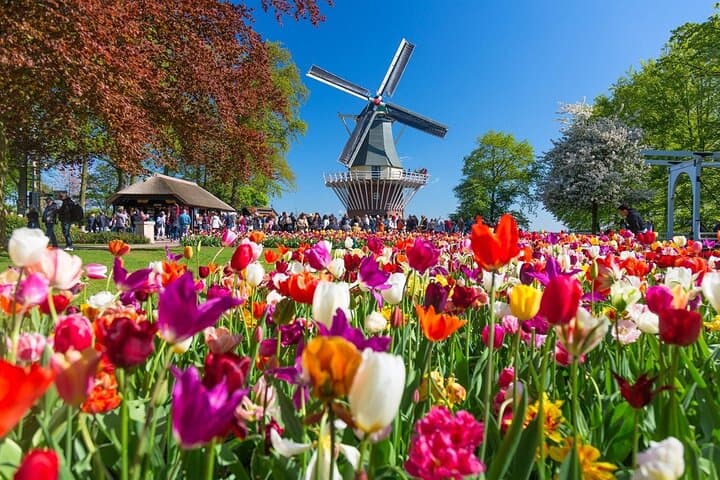Amsterdam: Day trip to Tulip Farm, Keukenhof + Windmill Cruise