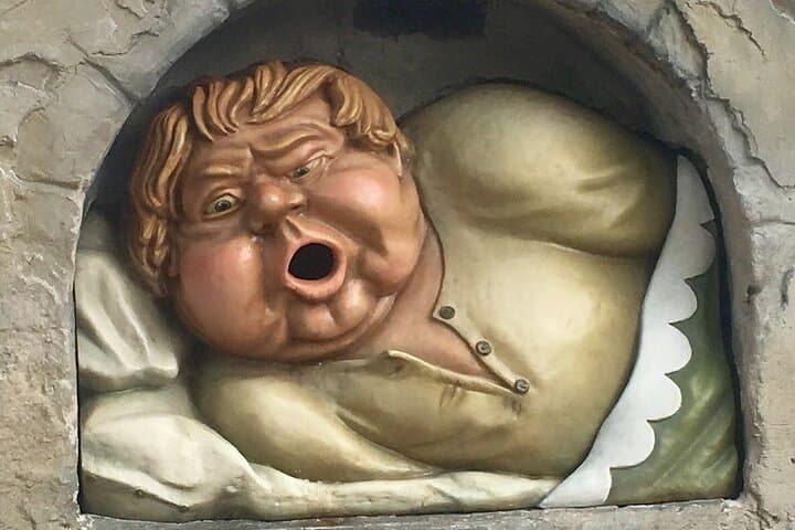 Private 8 hour day trip to the Efteling incl. entrance tickets