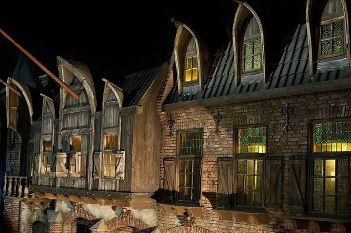 Private 8 hour day trip to the Efteling incl. entrance tickets