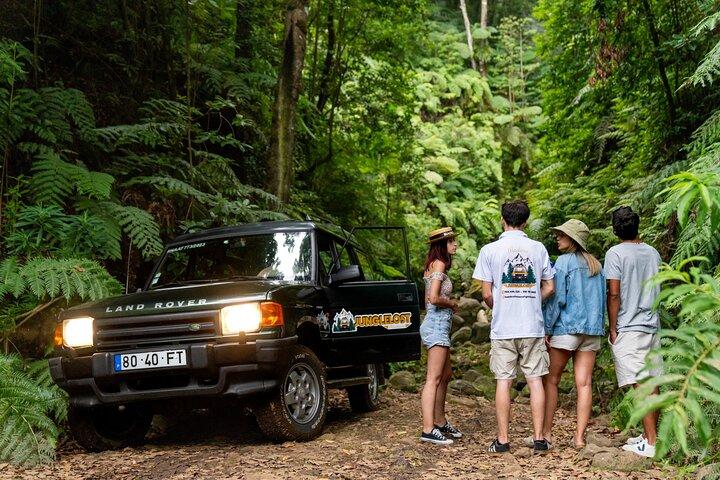西マデイラ島を満喫:4x4 の崖、プール、景色を満喫