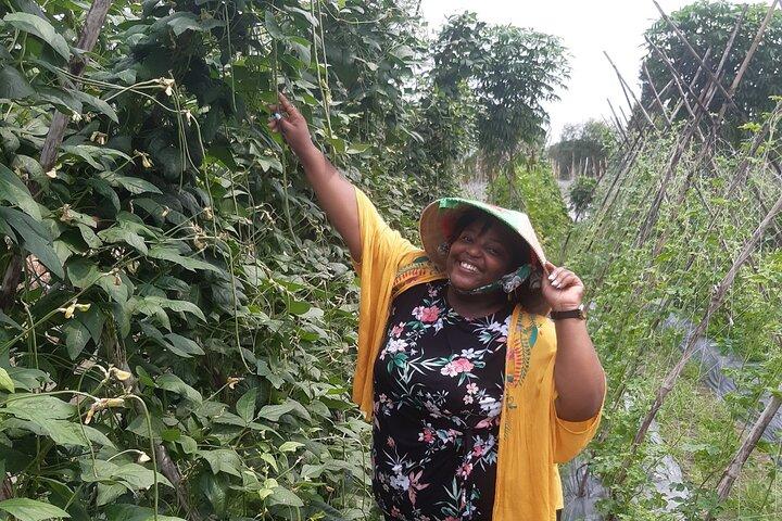 Explorando fazenda orgânica e culinária vietnamita com Master chef