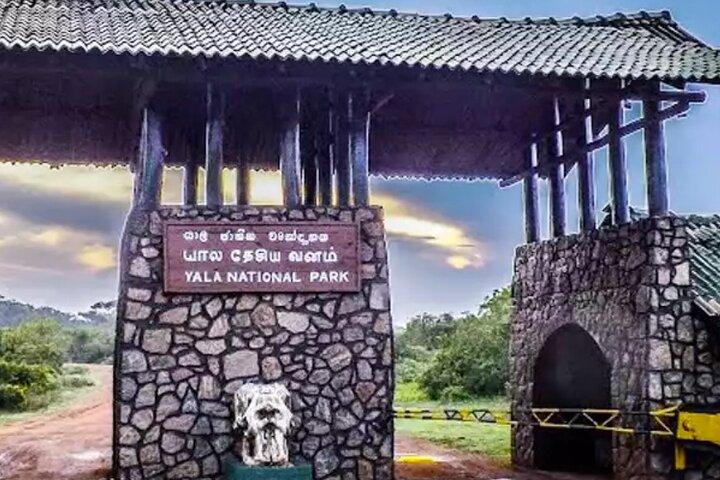 コロンボとニゴンボ発ヤラ国立公園プライベートジープサファリ