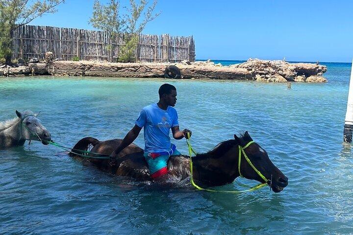 Private Horseback ride and swim in Montego Bay