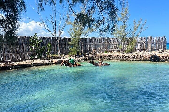 Private Horseback ride and swim in Montego Bay