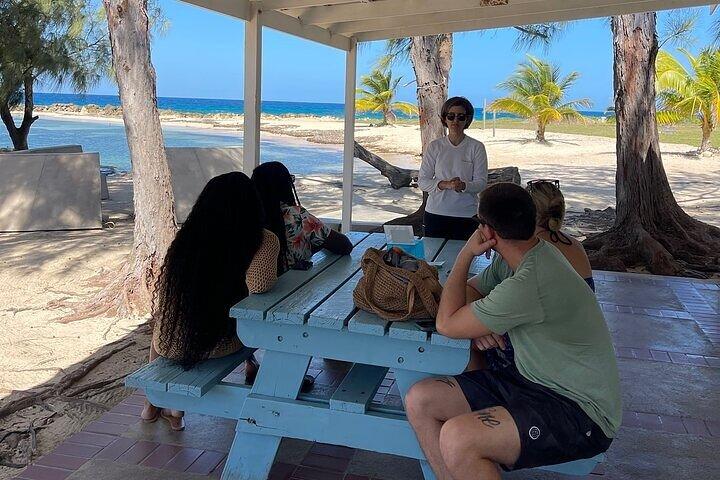 Private Horseback ride and swim in Montego Bay