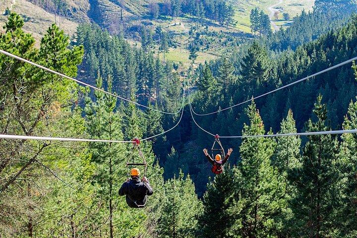 Christchurch Tour Zipline