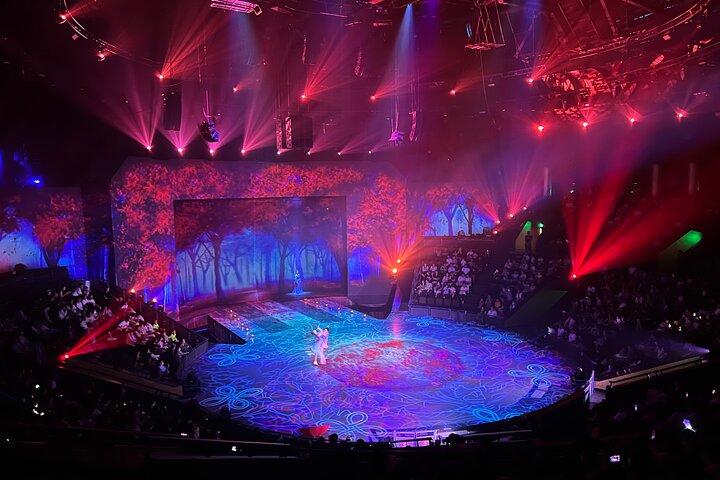 Billet til Shanghai Era Theatre Acrobatics Show