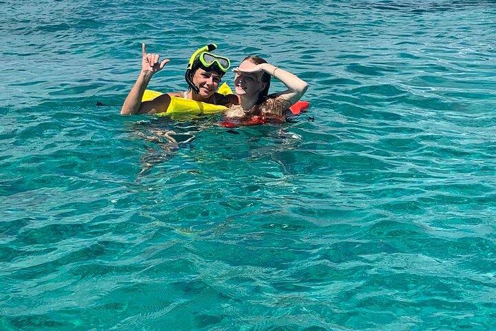 Nassau: Halbtagesriff Schnorcheln, Schildkröten & Schwimmschweine