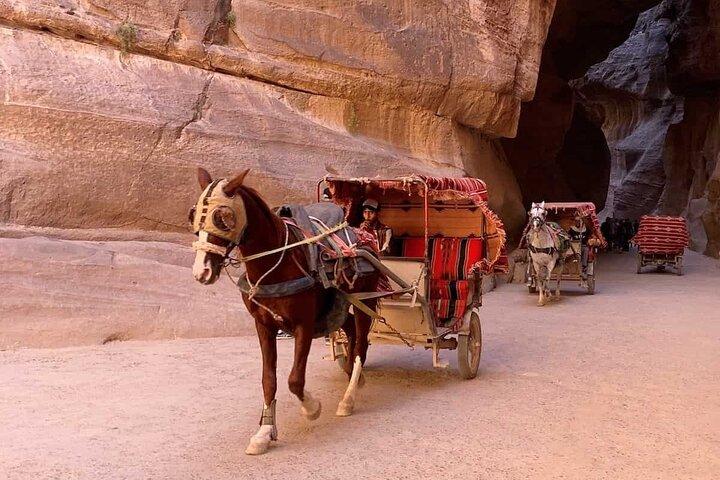 Petra Jordan por ferry & ônibus de Sharm El-Sheikh Tour de dia inteiro