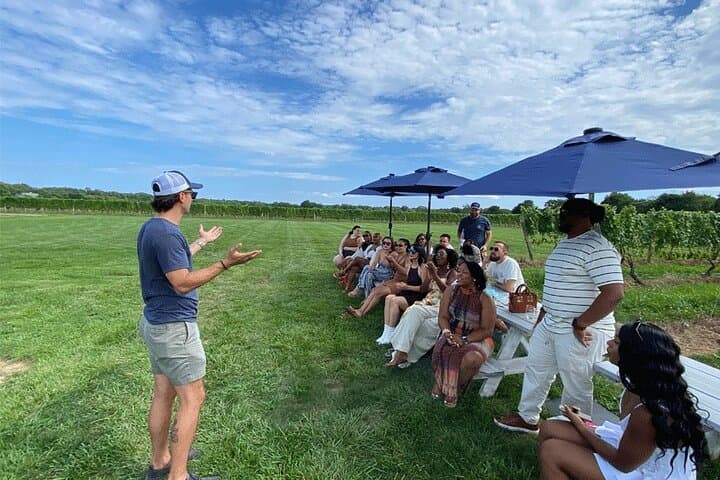 Long Island Wine and Food Day Trip with Sommelier host from NYC