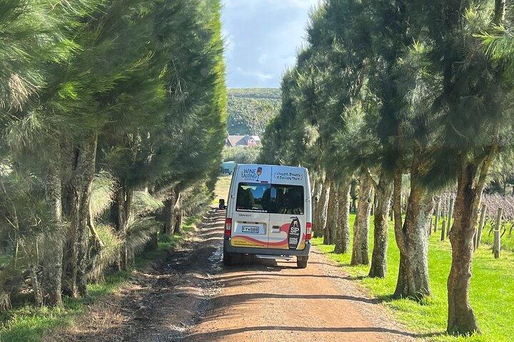 The Boutique Experience : Waiheke Best Cellar Tour (11 invités max)