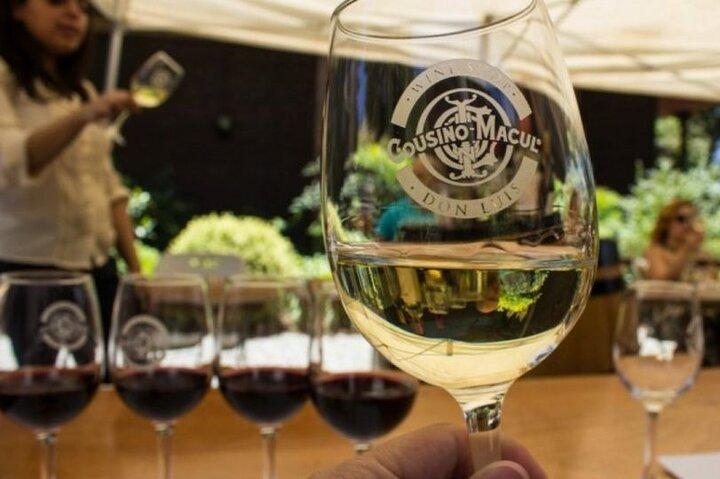Privat Maipo Valley De Luxe vintur