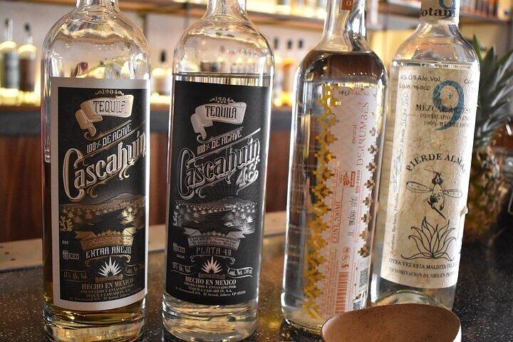 Degustazione di tequila artigianale premium presso la sala degustazione El
