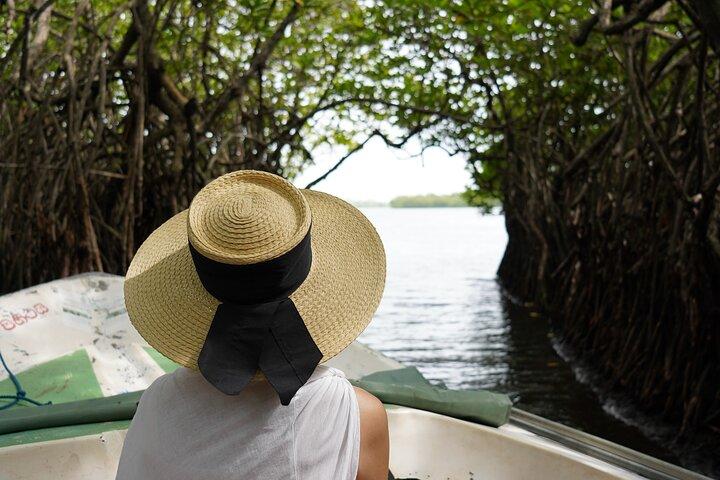Private Galle Tagestour mit Flusssafari, Stelzenfischen & Schildkröten