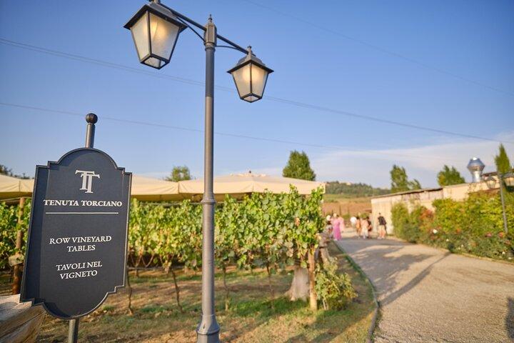 Chianti Delicias : Cuento Toscano De 2 Bodegas Con Cena De Viñedo