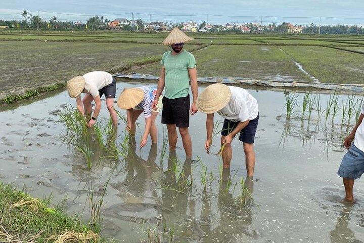 Experimente Buffalo Ride and Farmer em Hoi An