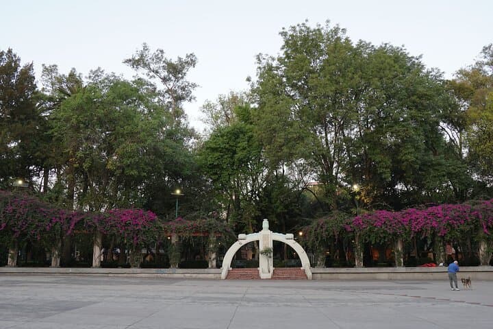 Mexico City: 19 City Highlights Bicycle Tour